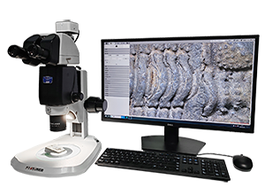 研究型體視顯微鏡CREATIVE SM1300